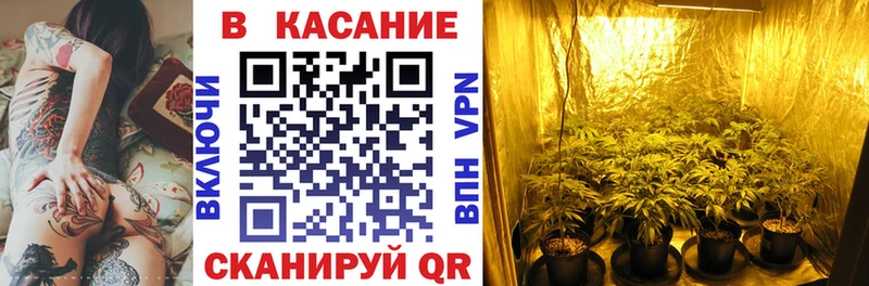 Виды наркотиков купить Баксан Alpha-PVP  МЕФ  Гашиш  Метадон  COCAIN 