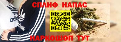 jwh Бийск