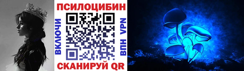 OMG онион где можно купить наркотик Баксан Галлюциногенные грибы Cubensis