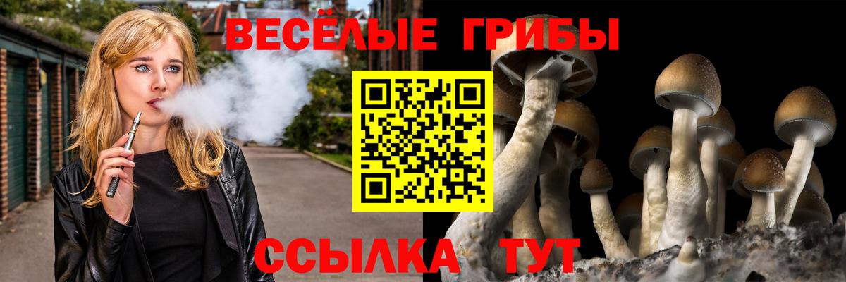 Баксан  Псилоцибиновые грибы MAGIC MUSHROOMS  Вход с VPN 